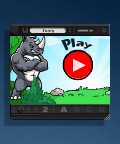 Alternative view of White Rhino